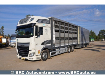 Camion chevaux DAF XF 460