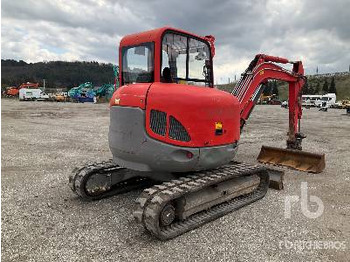 Mini pelle WACKER NEUSON 50Z3 Mini-Pelle