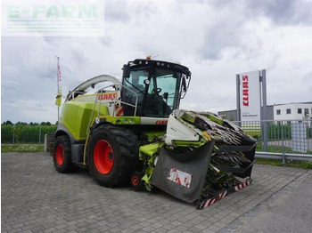 Ensileuse CLAAS Jaguar 970