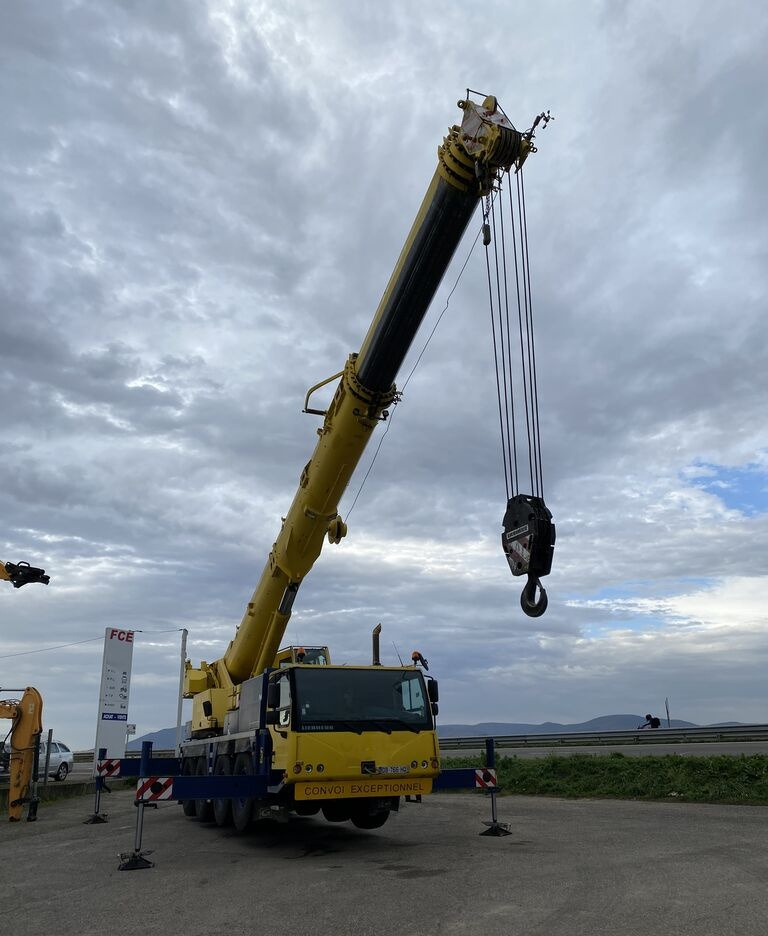 Grue mobile Liebherr LTM 1070/UTM 845