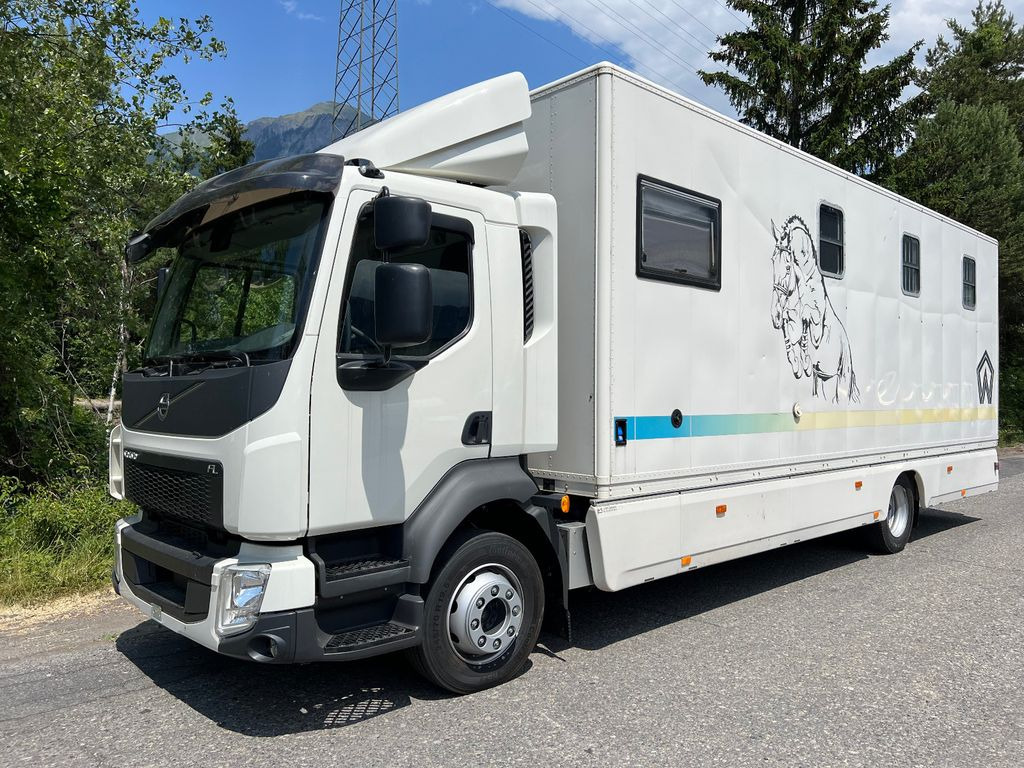 Camions chevaux de Suisse occasion a vendre Prix des Camions chevaux